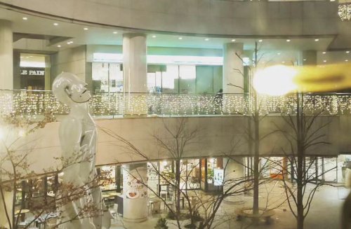 Photo post from tomoekounoike.