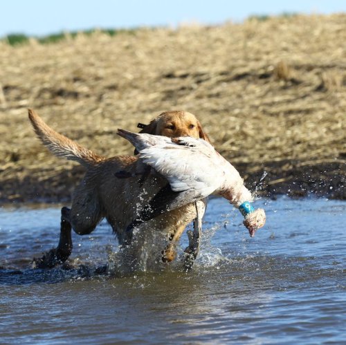 Carousel post from northernskiesoutfitters.