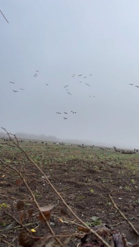 Video post from northernskiesoutfitters.