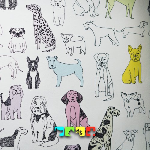 Carousel post from medicalpettj.