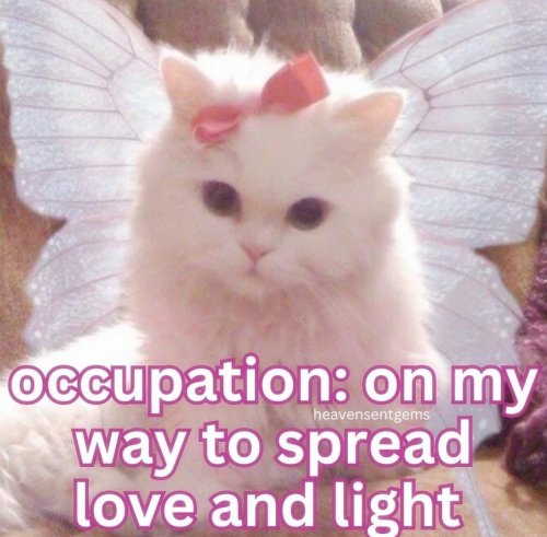 Photo post from margaritabloom.