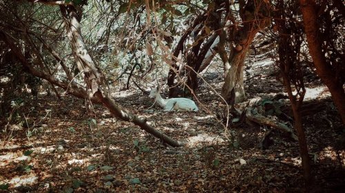 Carousel post from jakbobby.