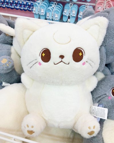 Photo post from margaritabloom.