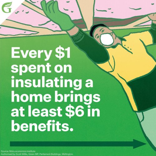 Carousel post from nzgreenparty.