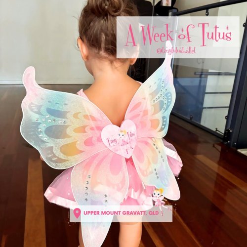 Carousel post from tinytutusballet.