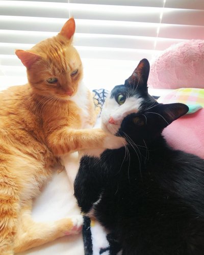 Photo post from margaritabloom.