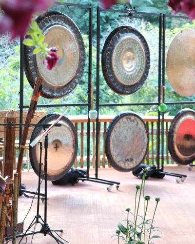 Photo post from currumbinvalleyharvest.