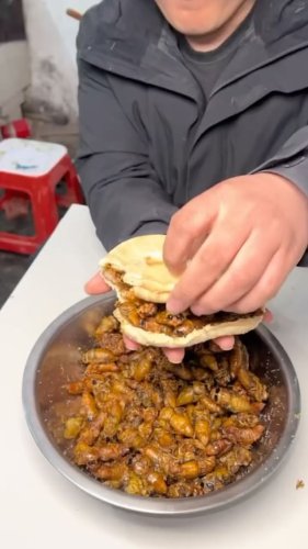Video post from bmnshows.
