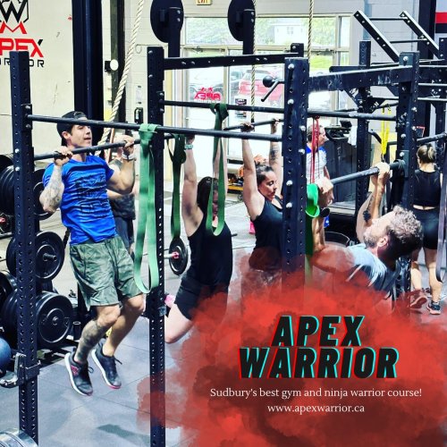 Carousel post from apexwarriorfitness.