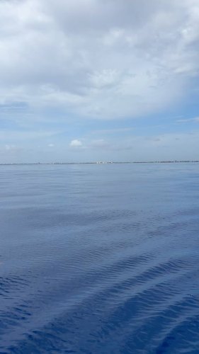 Video post from ejs_fishing_charters.