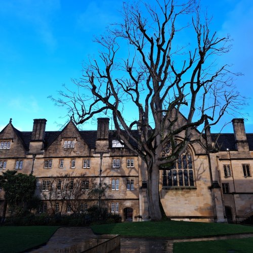 Photo post from wadhamoxford.
