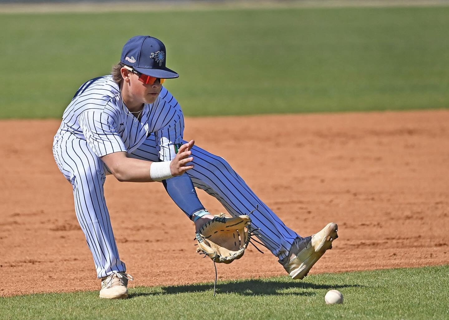 Photo post from uscbsandsharks.