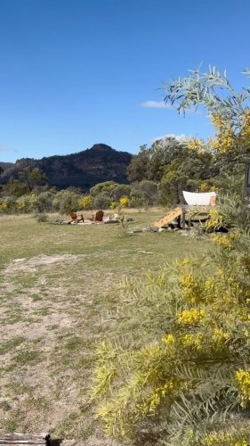 Video post from in2thewild.aus.