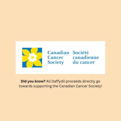 Photo post from daffydiltoronto.