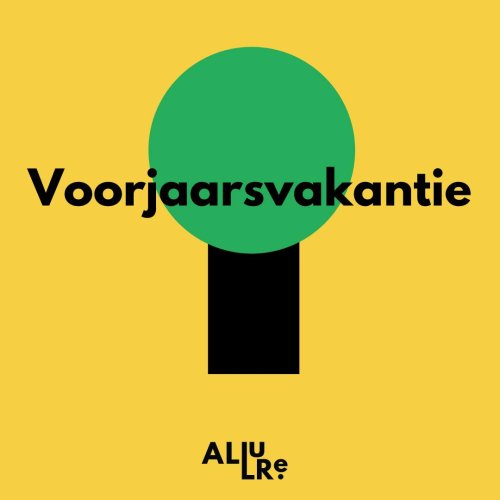 Photo post from allurescholen.