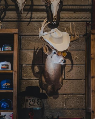 Photo post from reddirthatco.