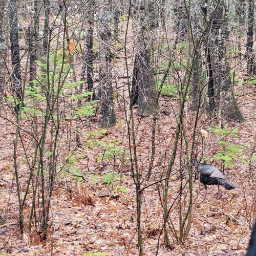 Photo post from reddogguideservice.
