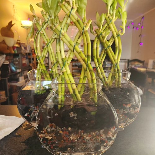 Carousel post from ahealingvibration.