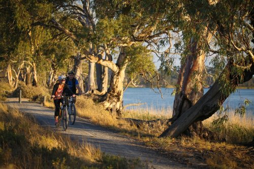 Photo post from alburycity.