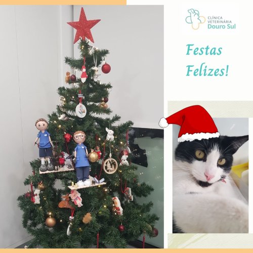 Photo post from clinica_veterinaria_dourosul.