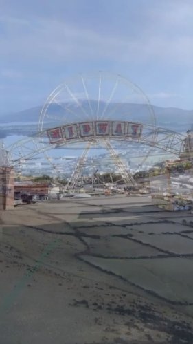 Video post from dinglepeninsulatourism.