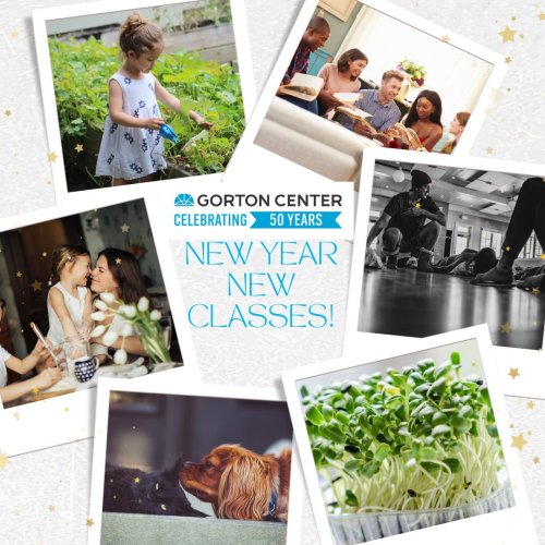 Carousel post from gortoncenterlf.