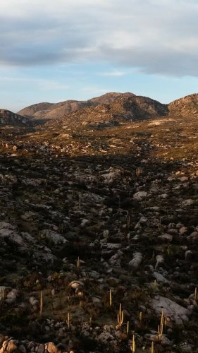 Video post from visittucson.