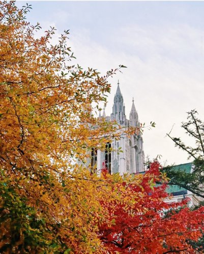 Photo post from bostoncollege.