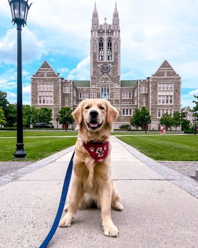 Photo post from bostoncollege.