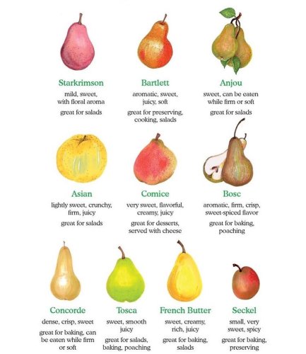 Photo post from farmbox_arizona.