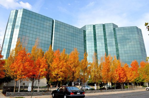 Photo post from american_re_partners.