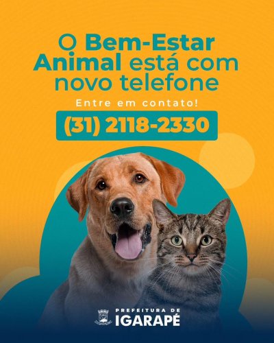 Photo post from prefeituradeigarape.