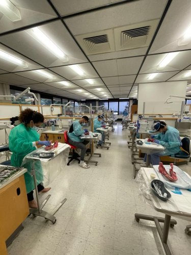 Carousel post from geistlich_north_america.