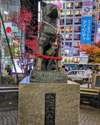 Photo post from goechan77.