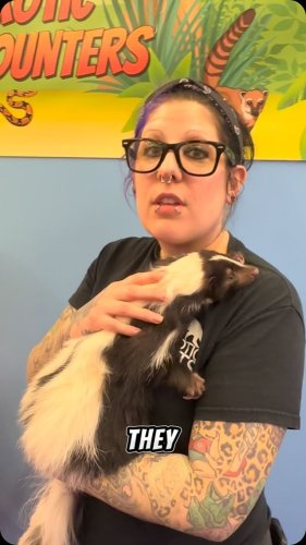 Video post from njexoticpets.