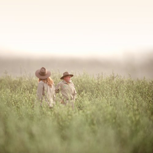 Carousel post from comvita_au.