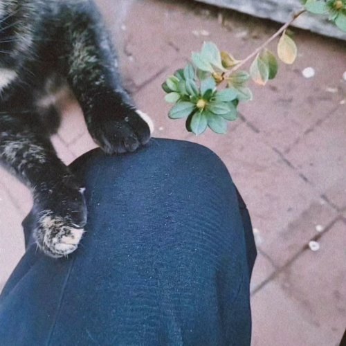 Photo post from ira.martelo.