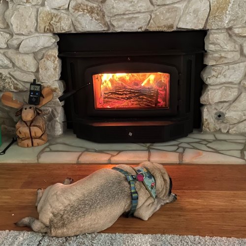 Photo post from regencyfire.