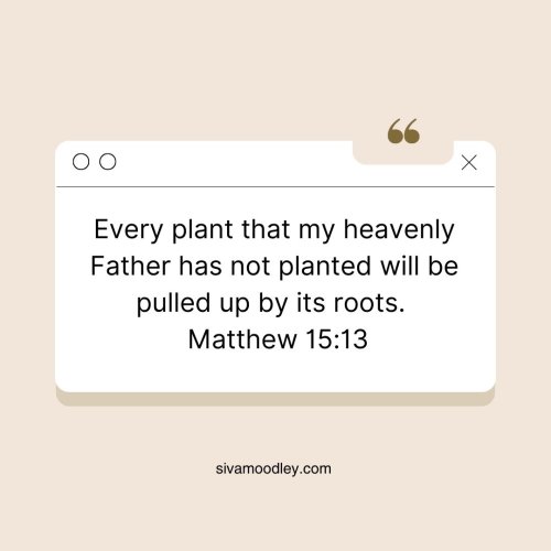 Photo post from drsivamm.