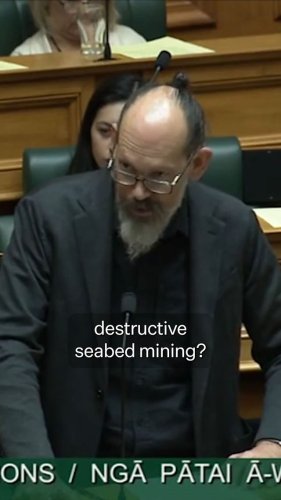 Video post from nzgreenparty.