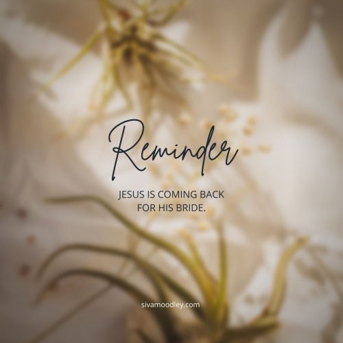 Photo post from drsivamm.