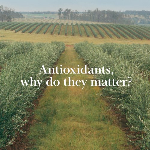 Carousel post from comvita_au.