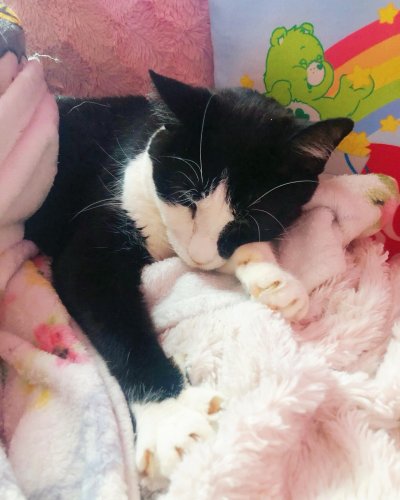 Carousel post from margaritabloom.