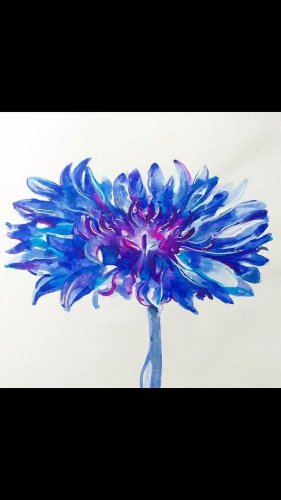 Video post from penandinkchallenge.
