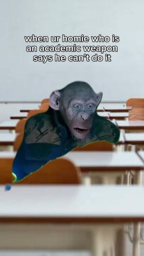 Video post from monashcoding.