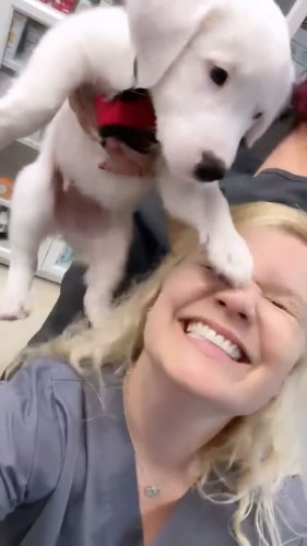 Video post from familyanimalhospitalcm.