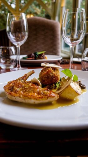 Video post from themoathouse.