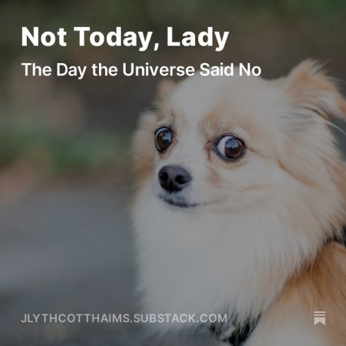 Carousel post from jlythcotthaims.