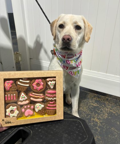 Carousel post from k9playtimedoggydaycare.