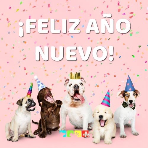 Photo post from medicalpettj.